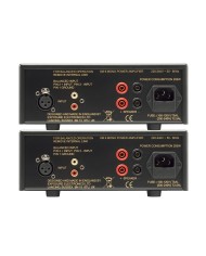 Coppia di amplificatori finali mono Exposure XM 9 Titanio