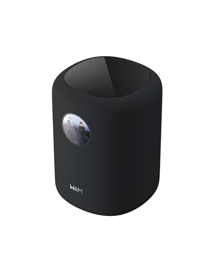 Diffusore wireless a 2 vie Wi-Fi e Bluetooth WiiM Sound Nero
