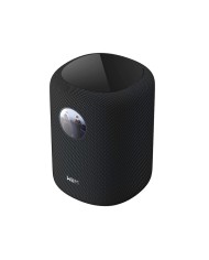 Diffusore wireless a 2 vie Wi-Fi e Bluetooth WiiM Sound Nero