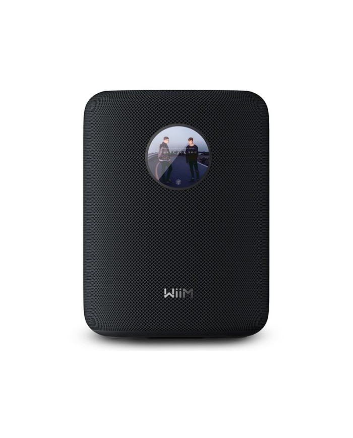 Diffusore wireless a 2 vie Wi-Fi e Bluetooth WiiM Sound Nero