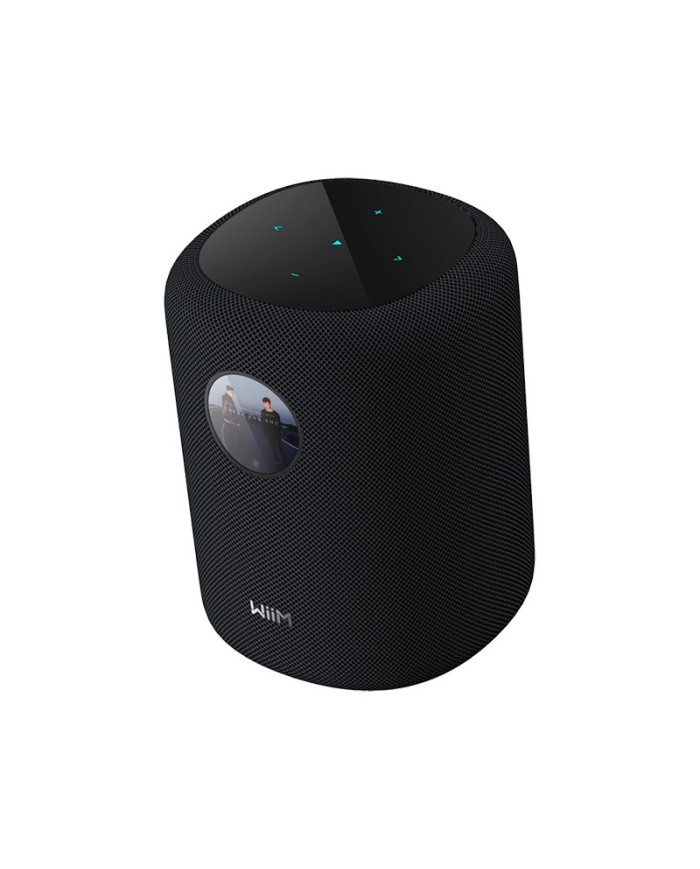 Diffusore wireless a 2 vie Wi-Fi e Bluetooth WiiM Sound Nero