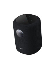 Diffusore wireless a 2 vie Wi-Fi e Bluetooth WiiM Sound Nero