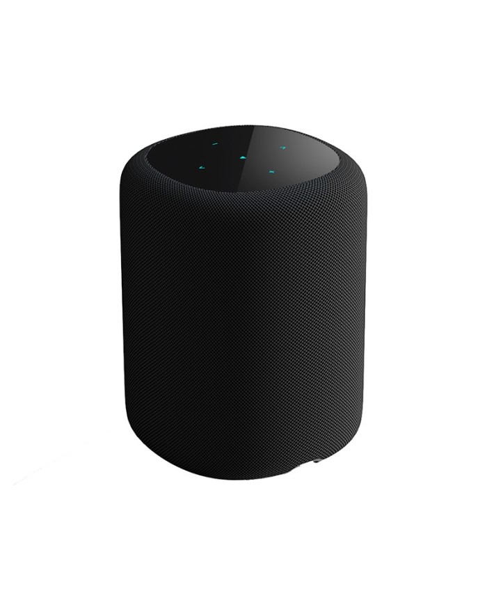 Diffusore wireless a 2 vie Wi-Fi e Bluetooth WiiM Sound Nero