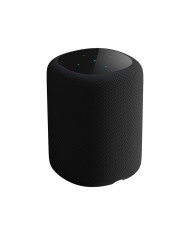 Diffusore wireless a 2 vie Wi-Fi e Bluetooth WiiM Sound Nero