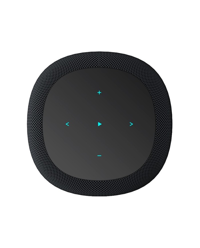 Diffusore wireless a 2 vie Wi-Fi e Bluetooth WiiM Sound Nero