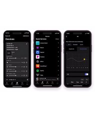 Amplificatore integrato stereo con Streamer Pro-Ject Uni Box S3 Silver