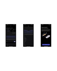 Diffusore wireless a 2 vie Wi-Fi e Bluetooth WiiM Sound Nero