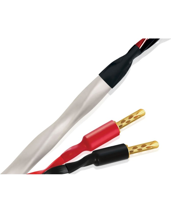 Cavo potenza terminato banana o forcella Wireworld Solstice 10