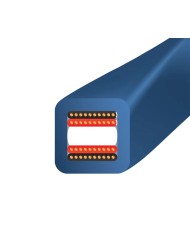 Cavo diffusori terminato banana o forcella Wireworld Oasis 10