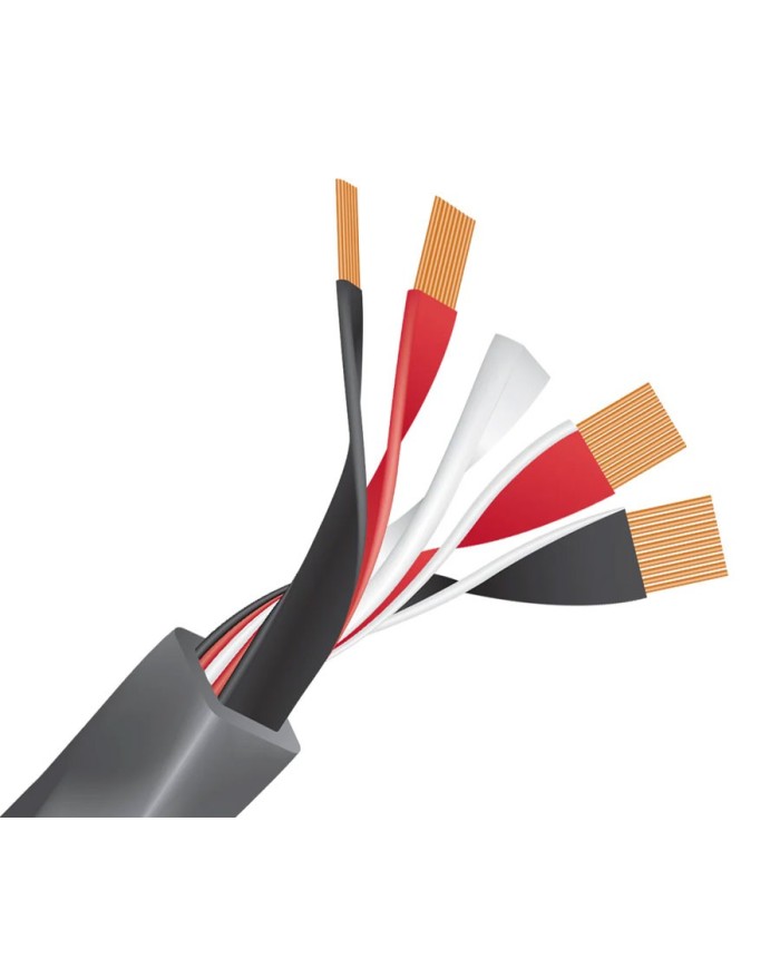 Cavo per diffusori banana o forcella  Wireworld Equinox 10