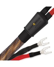 Cavo per diffusori banana o forcella  Wireworld Eclipse 10