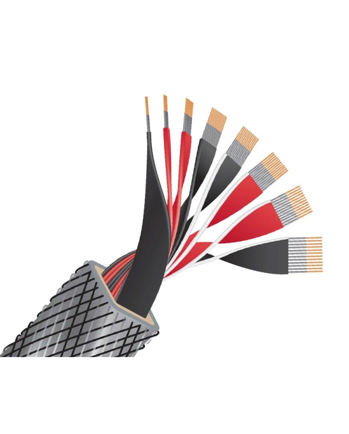 Cavo diffusori banana o forcella  Wireworld Silver Eclipse 10