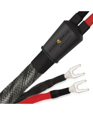 Cavo diffusori banana o forcella  Wireworld Silver Eclipse 10