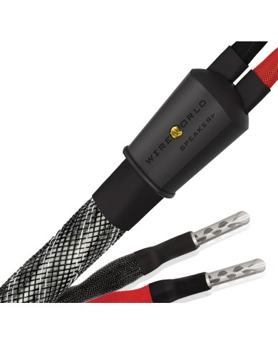 Cavo diffusori terminato Wireworld Platinum Eclipse 10