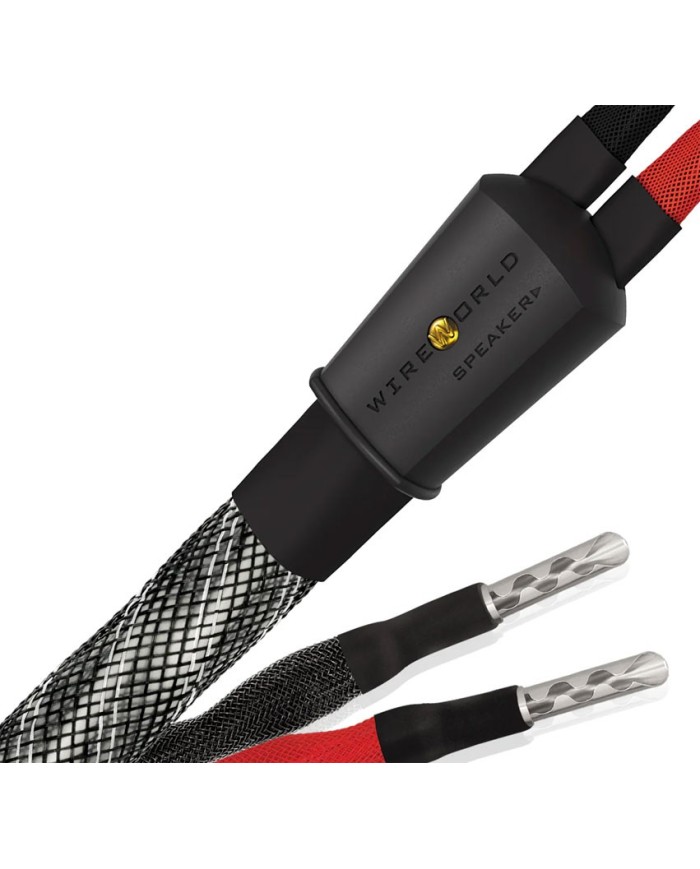 Cavo diffusori terminato Wireworld Platinum Eclipse 10