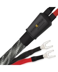 Cavo diffusori terminato Wireworld Platinum Eclipse 10