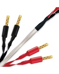 Cavo per diffusori terminato banana o forcella Wireworld Luna 10 Biwire