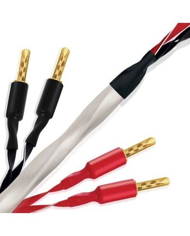 Cavo potenza terminato banana o forcella  Wireworld Solstice 10 Biwire