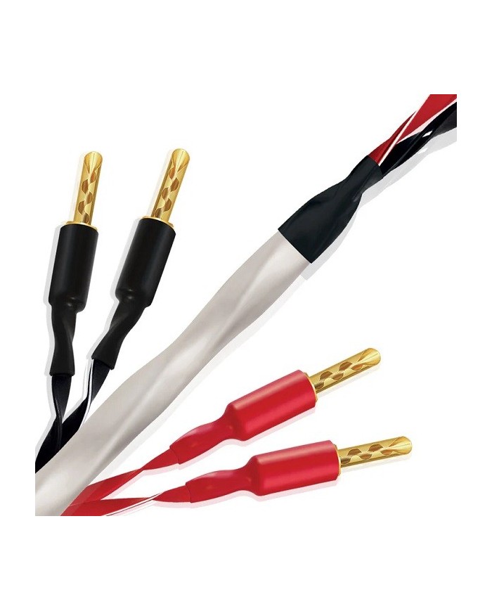 Cavo potenza terminato banana o forcella  Wireworld Solstice 10 Biwire