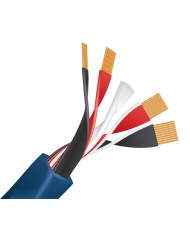 Cavo diffusori banana o forcella  Wireworld Oasis 10 Biwire