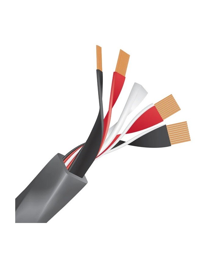 Cavo diffusori banana o forcella  Wireworld Equinox 10 Biwire