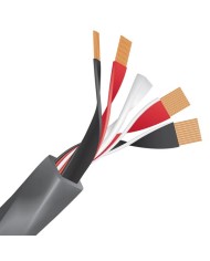 Cavo diffusori banana o forcella  Wireworld Equinox 10 Biwire