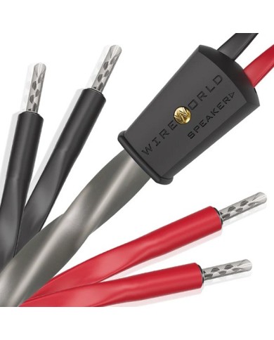 Cavo diffusori banana o forcella  Wireworld Equinox 10 Biwire