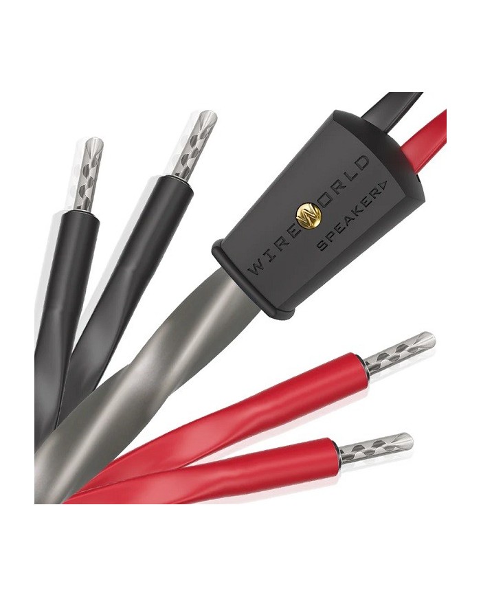 Cavo diffusori banana o forcella  Wireworld Equinox 10 Biwire