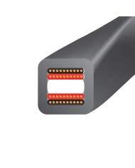 Cavo diffusori banana o forcella  Wireworld Equinox 10 Biwire