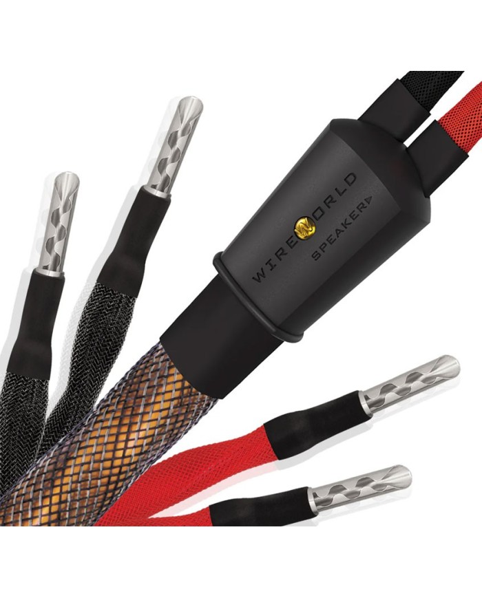 Cavo potenza banana o forcella Wireworld Eclipse 10 Biwire