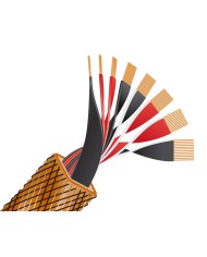 Cavo potenza banana o forcella Wireworld Eclipse 10 Biwire