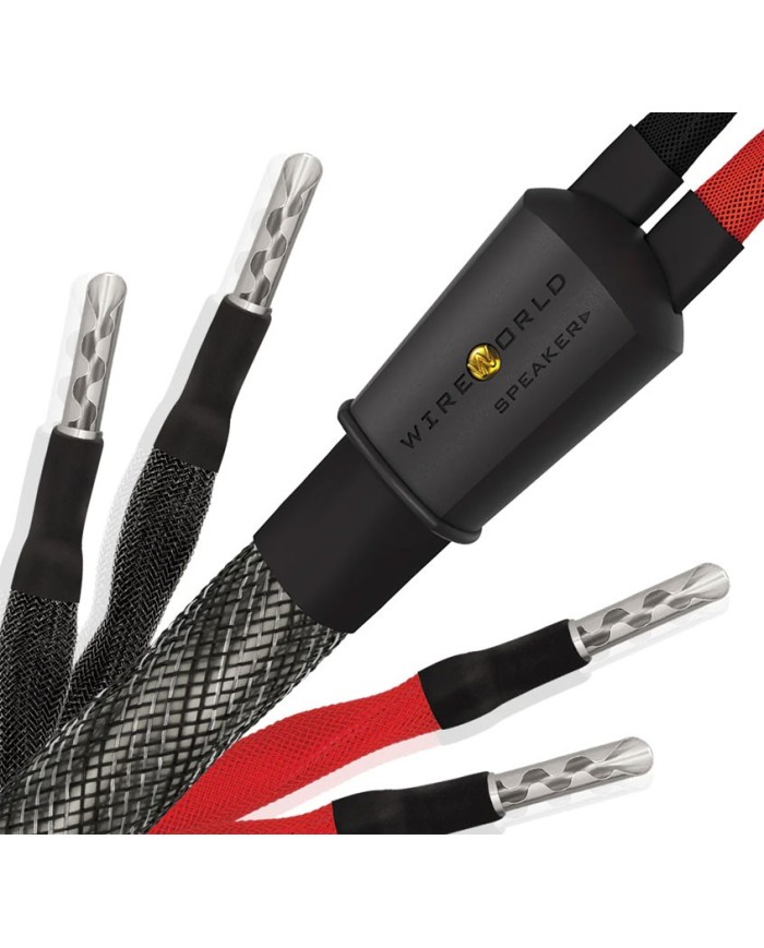 Cavo diffusori banana o forcella  Wireworld Silver Eclipse 10 Biwire