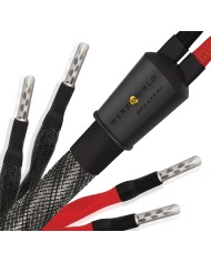 Cavo diffusori banana o forcella  Wireworld Silver Eclipse 10 Biwire