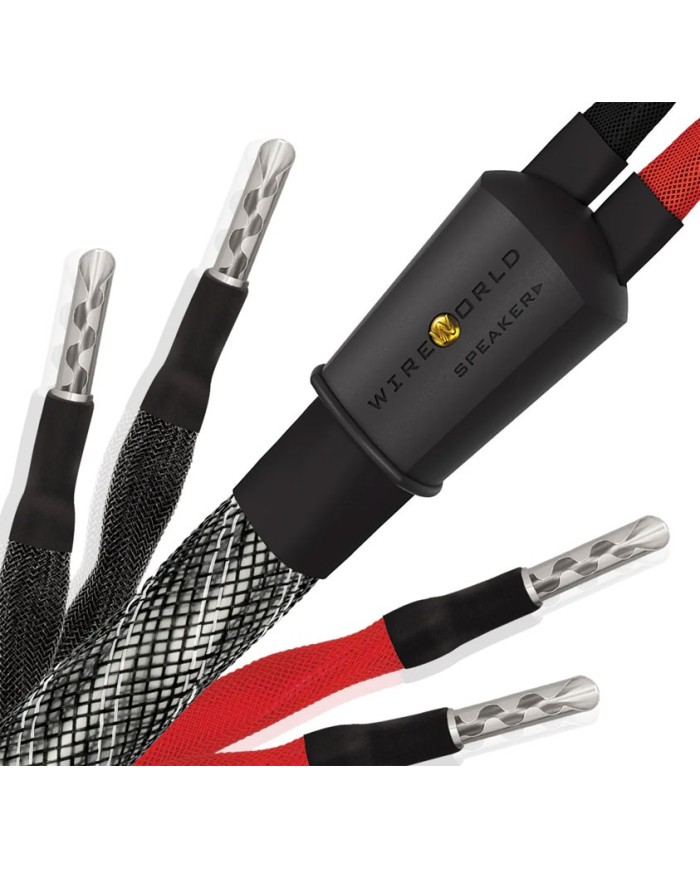 Cavo diffusori banana o forcella  Wireworld Platinum Eclipse 10 Biwire