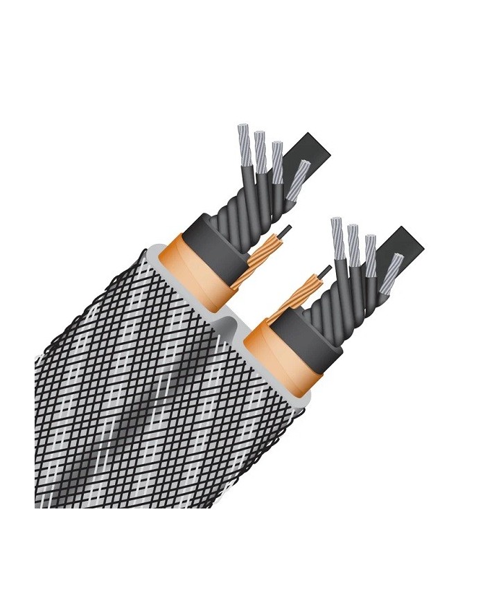 Cavo alimentazione Shucko-IEC Wireworld Platinum Electra 10