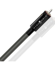 Cavo per subwoofer RCA Wireworld Equinox 10 Subwoofer Cord