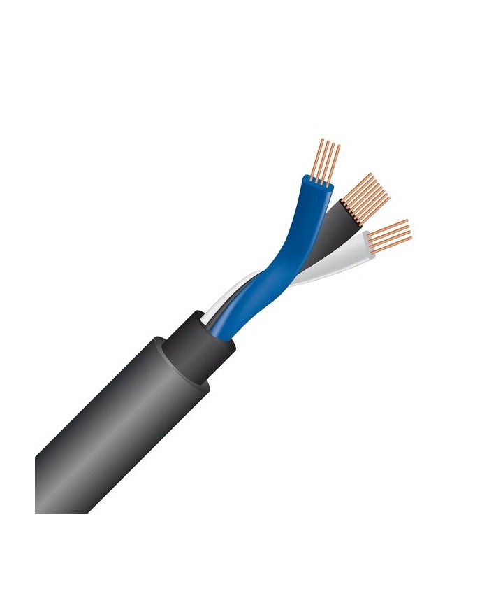 Cavo per subwoofer RCA Wireworld Equinox 10 Subwoofer Cord