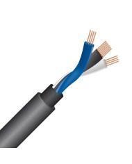 Cavo per subwoofer RCA Wireworld Equinox 10 Subwoofer Cord