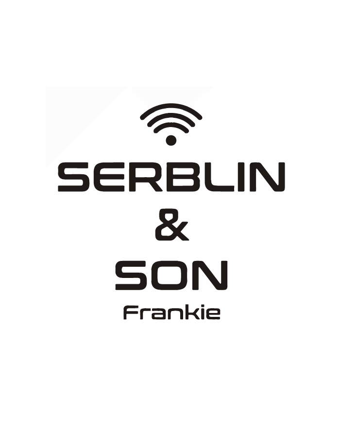 Serblin & Son Performer NET amplificatore integrato Phono DAC Streamer Silver