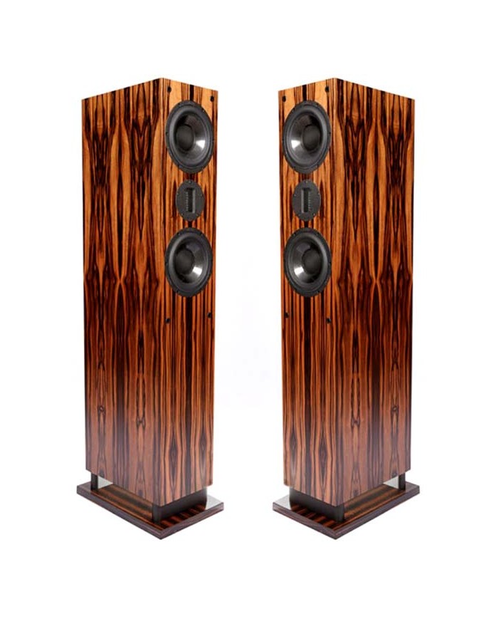 ProAc RESPONSE D48R Coppia Diffusori da Pavimento Palissandro