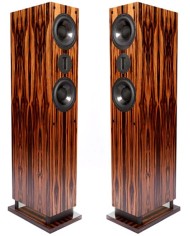 ProAc RESPONSE D48R Coppia Diffusori da Pavimento Palissandro