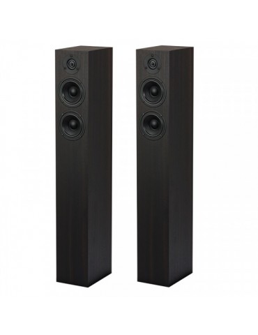 Pro-Ject Speaker Box 10 DS2 eucalipto coppia diffusori acustici da pavimento a 2 vie