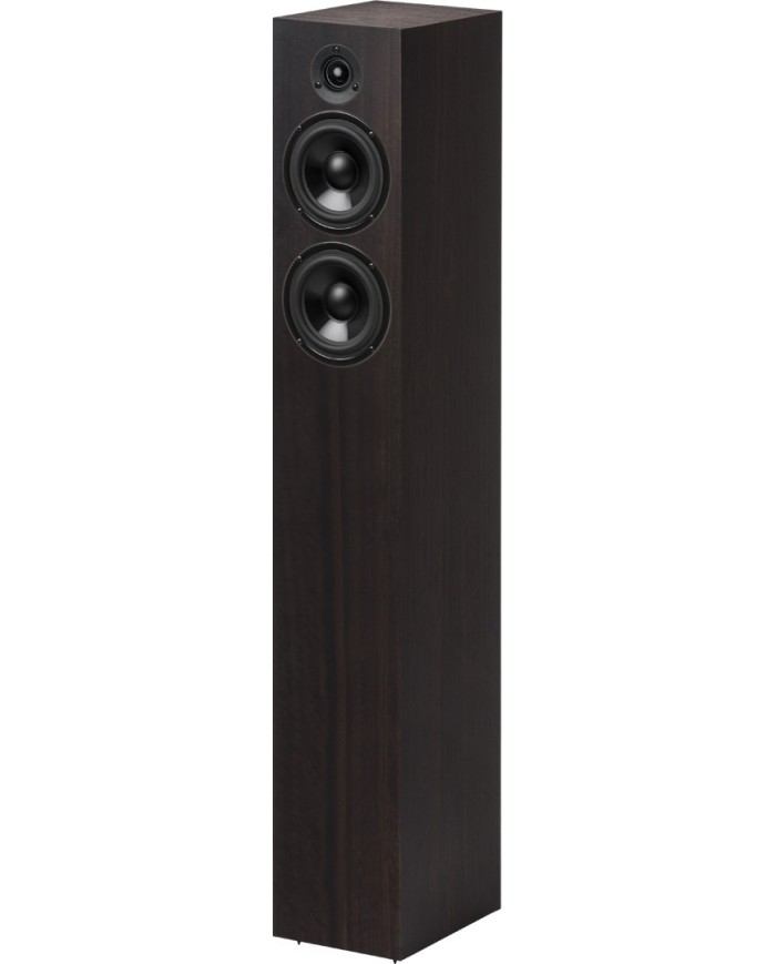 Pro-Ject Speaker Box 10 DS2 eucalipto diffusori acustici da pavimento