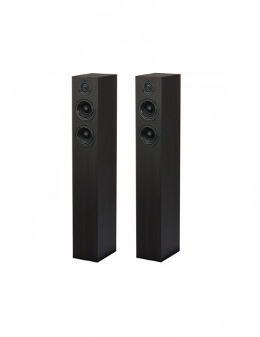 Pro-Ject Speaker Box 10 S2 eucalipto coppia diffusori acustici da pavimento 2 vie