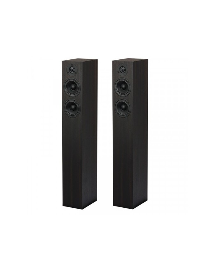 Pro-Ject Speaker Box 10 S2 eucalipto diffusori da pavimento 2 vie