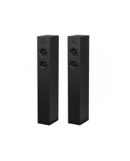 Pro-Ject Speaker Box 10 S2 eucalipto diffusori da pavimento 2 vie