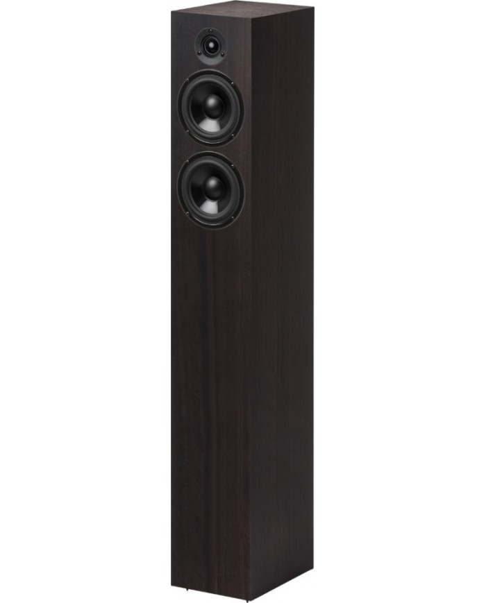 Pro-Ject Speaker Box 10 S2 eucalipto diffusori da pavimento 2 vie