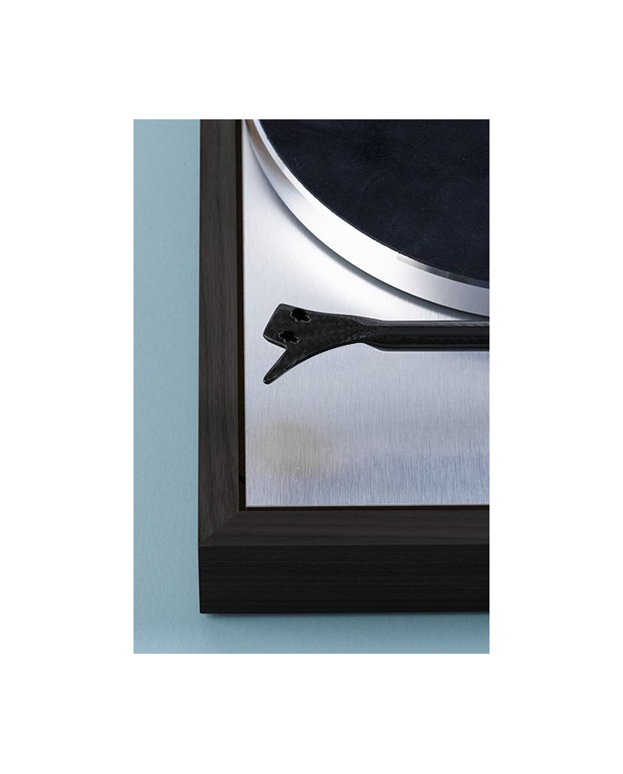 Pro-Ject The Classic Evo eucalipto giradischi senza testina