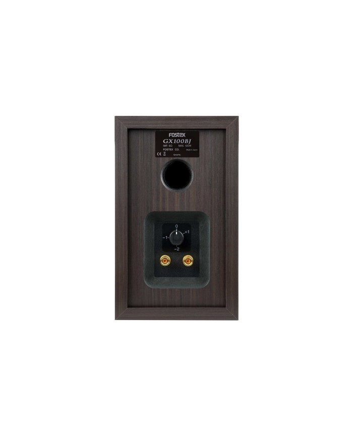 Fostex GX100BJ coppia diffusori da scaffale 2 vie fostex gx100 