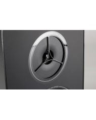 Altoparlanti Rega Kyte